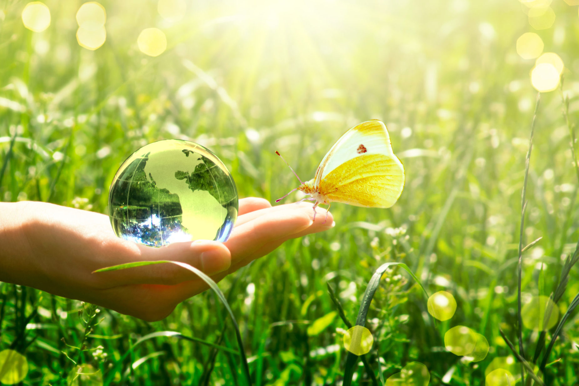 cropped-shutterstock_1414501220-scaled-1.jpg