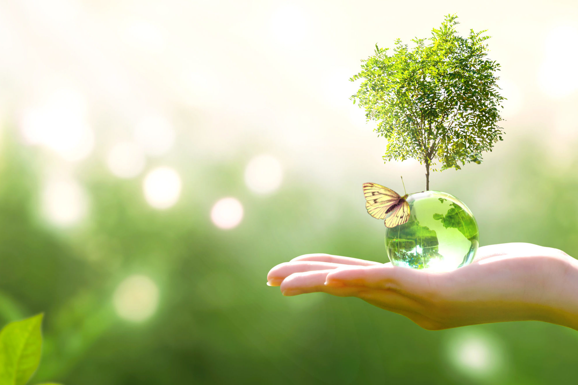 cropped-shutterstock_1500154991-scaled-1.jpg